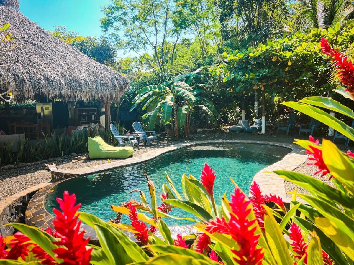 Glamping Hotel Flor Y Bambu Playa Grande Buitenkant foto
