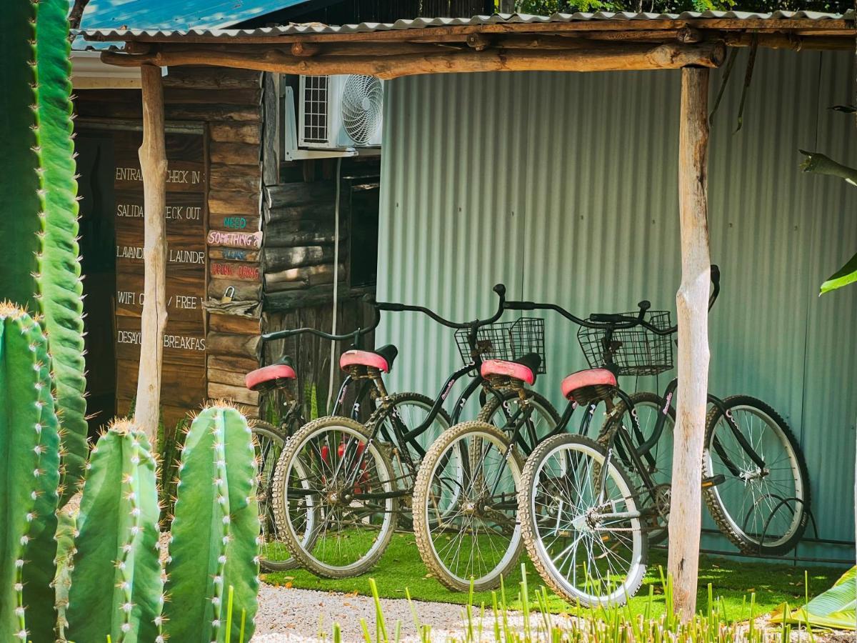 Glamping Hotel Flor Y Bambu Playa Grande Buitenkant foto
