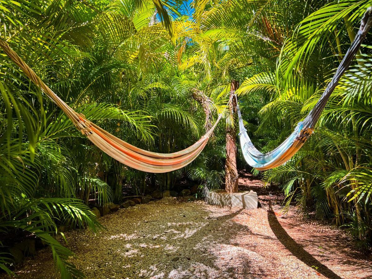 Glamping Hotel Flor Y Bambu Playa Grande Buitenkant foto