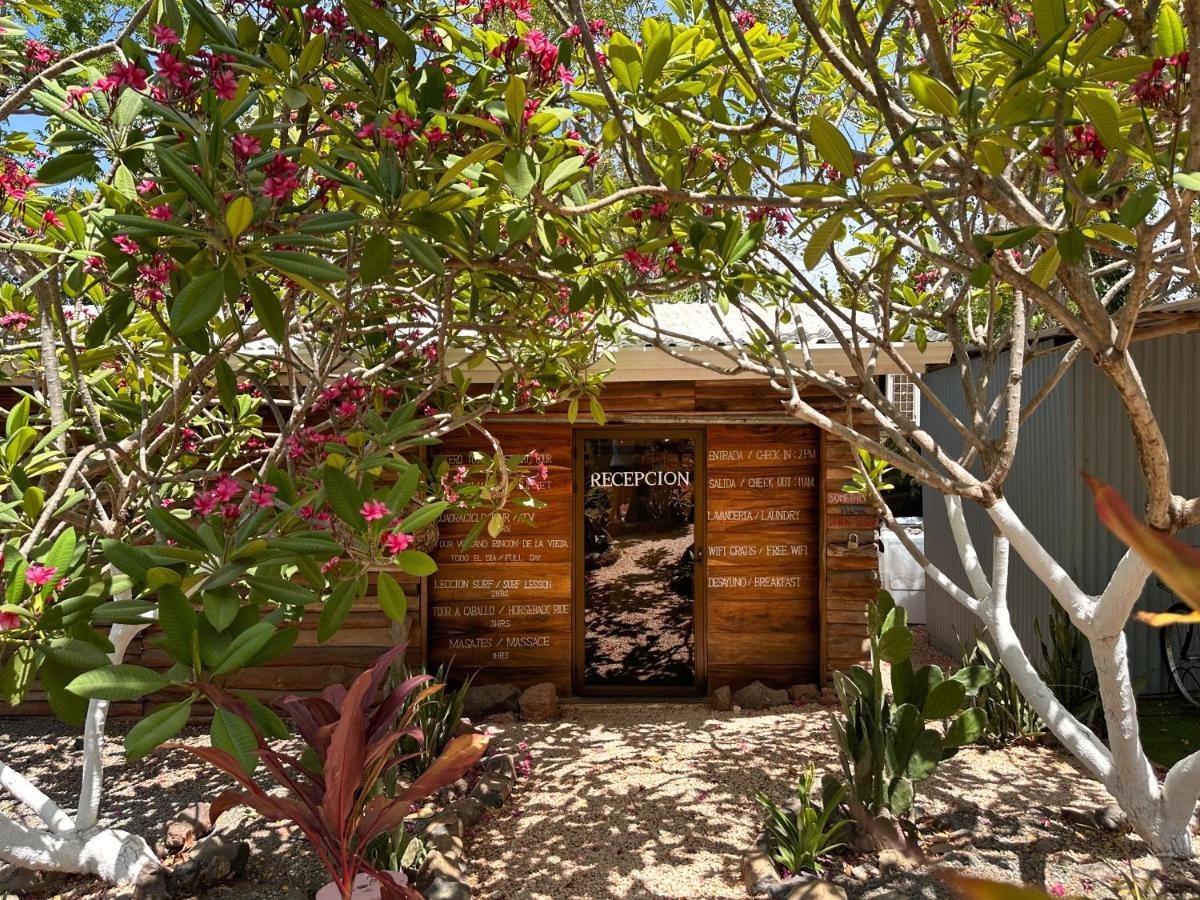 Glamping Hotel Flor Y Bambu Playa Grande Buitenkant foto