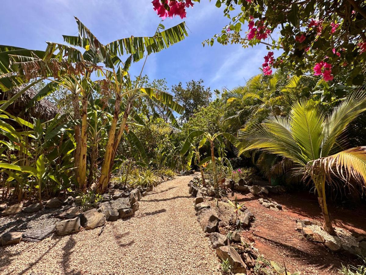 Glamping Hotel Flor Y Bambu Playa Grande Buitenkant foto