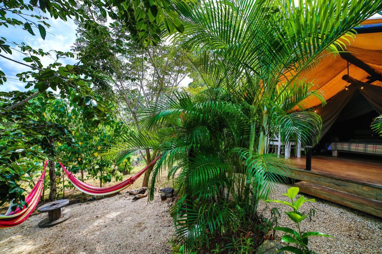 Glamping Hotel Flor Y Bambu Playa Grande Buitenkant foto